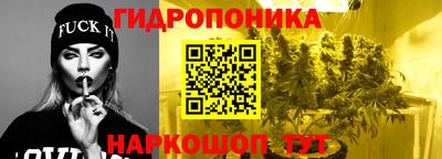 прущие крисы Тулун